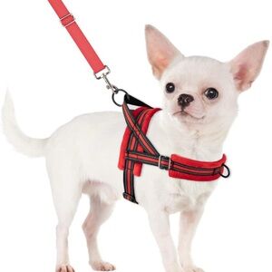 Amazon Red and Black Dog Harness and Leash Set